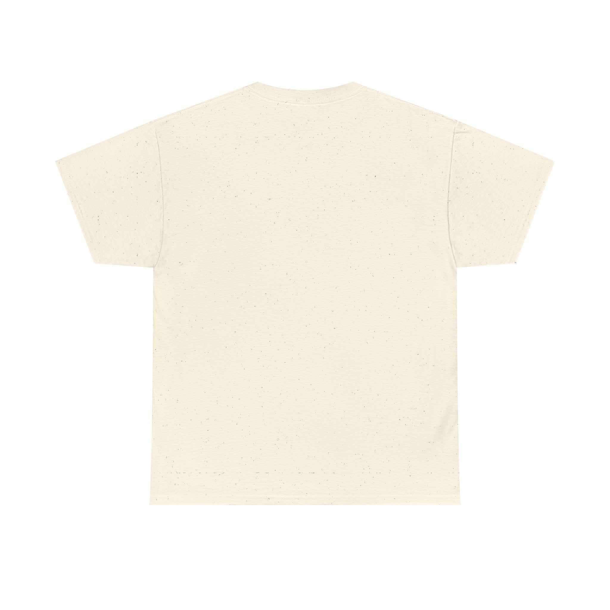 Jackson Ward Richmond — Harlem of the South Tribute Tee: The Black Wall Streets Collection